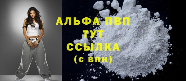 PSILOCYBIN Пересвет