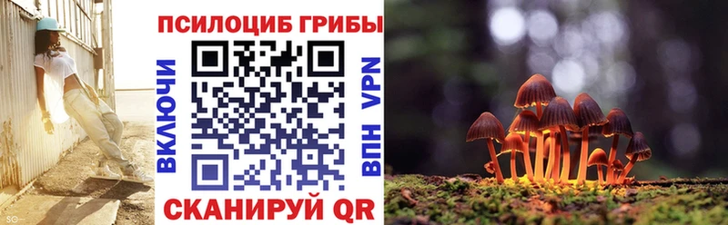 Галлюциногенные грибы Psilocybe  цена   Ишим 